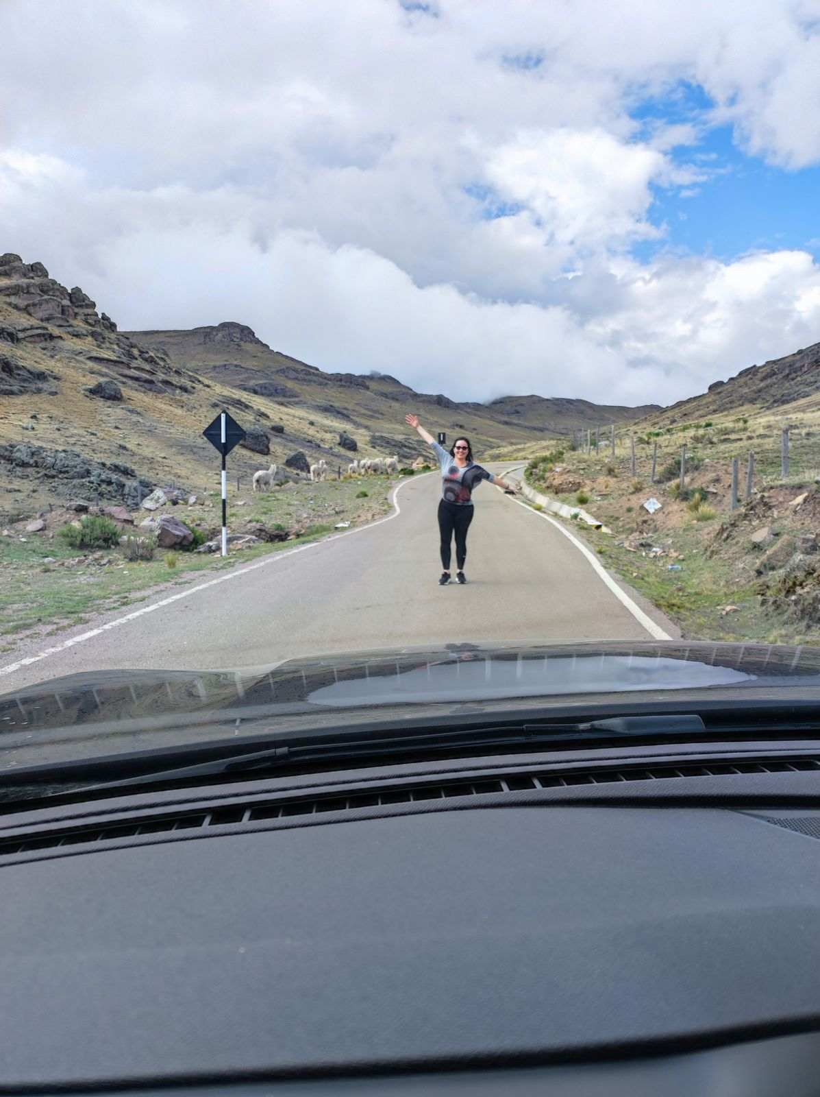 Huancavelica puna, 16 January: Anet celebrates, Willy shoots from the car; the coast is behind them.